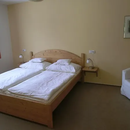 招待所 佩西恩罗德尔酒店 波杰布拉迪