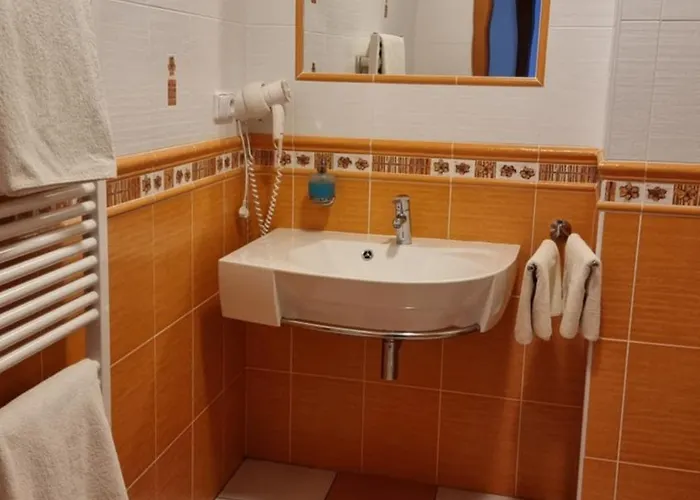 Rondel بيت ضيافة Poděbrady